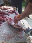 Wild zerlegen für den Eigengebrauch